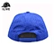 3D embroidered logo golf hats